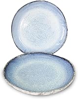 RoRo Rustic Coral Handmade Ceramic Stoneware Dinner Plates Set of 2, Reactive Blue Glaze, Textured Finish - Dishwasher & Microwave Safe