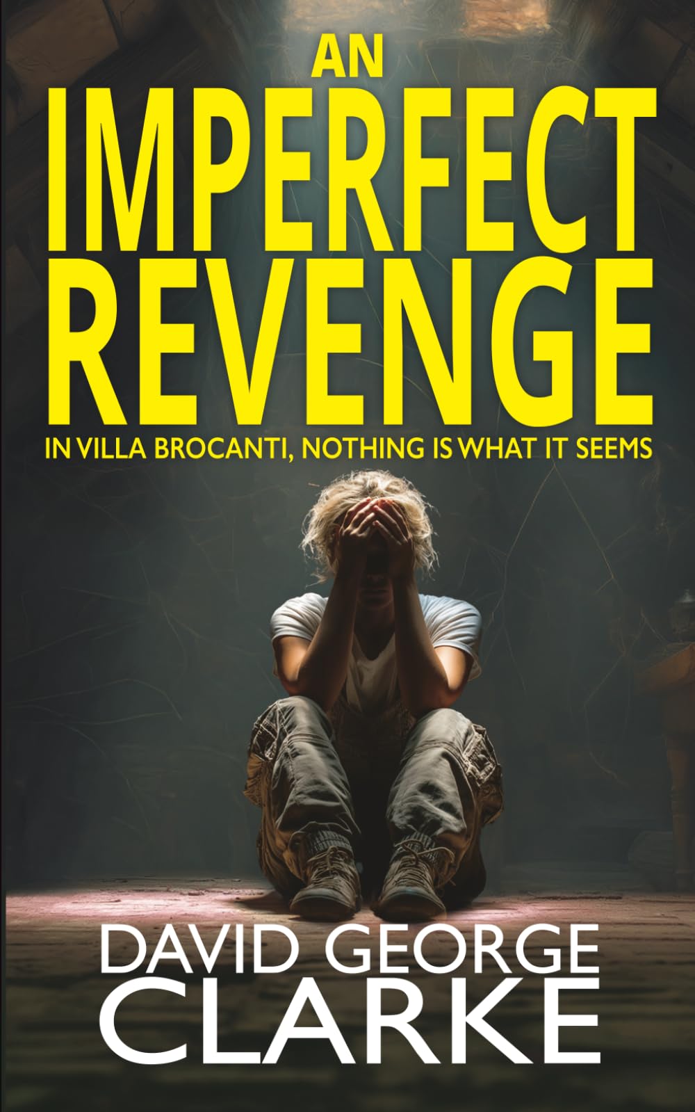 An Imperfect Revenge: A Psychological Thriller