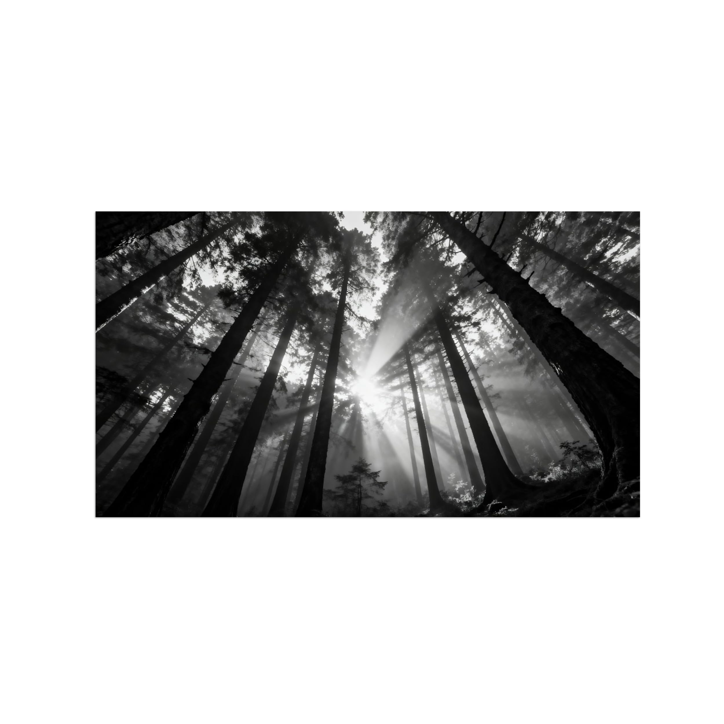 OZPWBVY Black and White Landscape Print Painting-Forest Tree Sunshine 9-Minimalist Canvas Wall Art Picture for Home Decor 24x42in 60x108cm Unframed