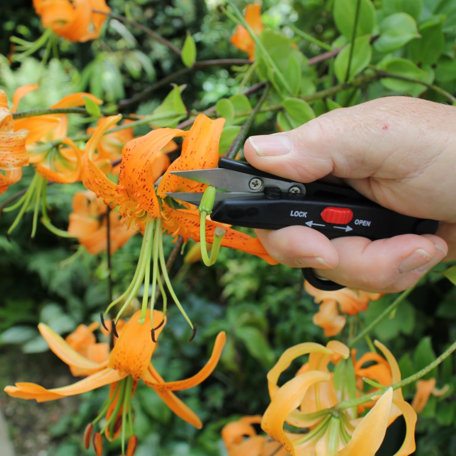 Darlac DP 125 Deadheading Snips