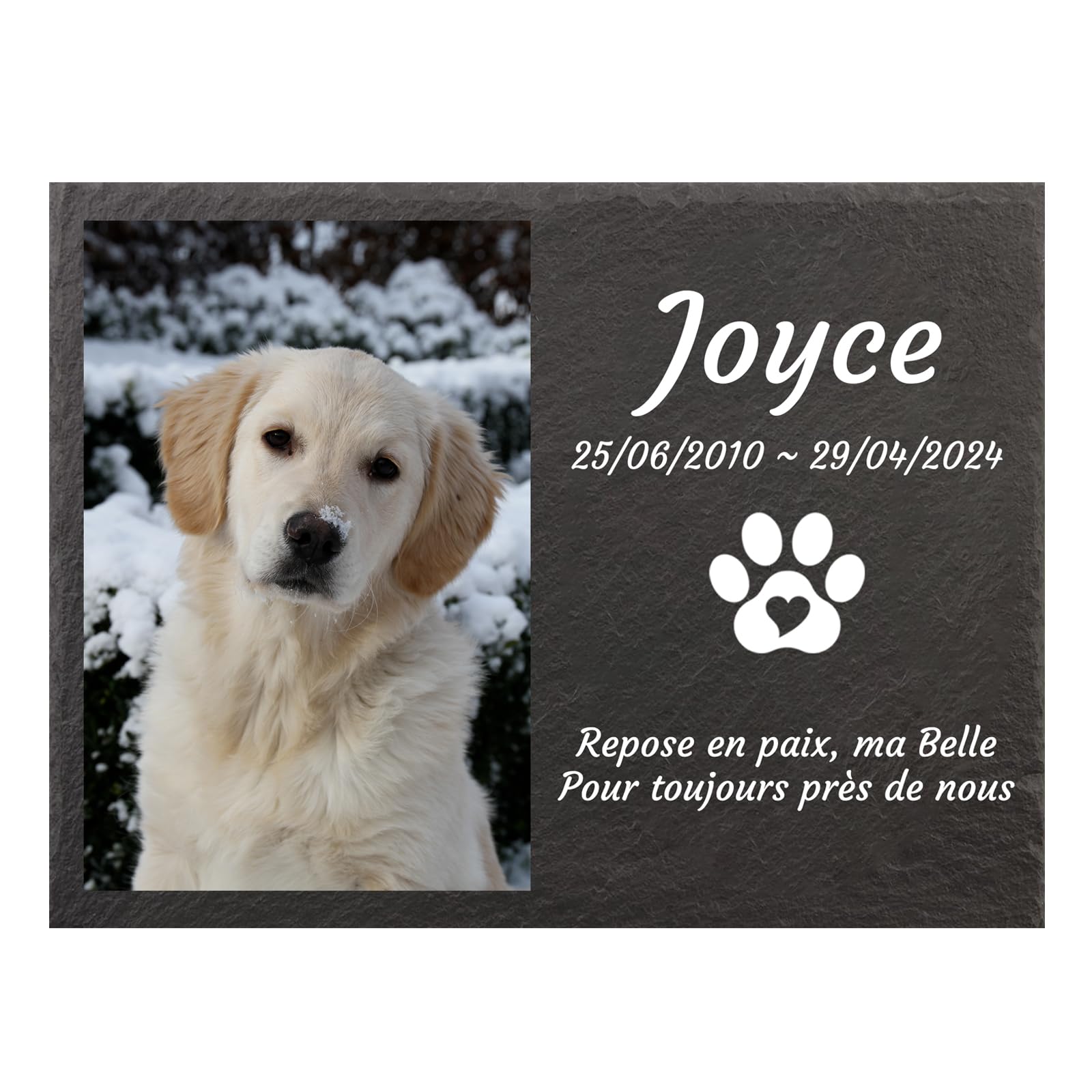 Jodimitty Personalised Pet Memorial Plaques, Color Printing Photo & Name & Life Span & Message, DIY Grave Stones Dog Cat Memorial Keepsakes, Rectangle, 20x15cm