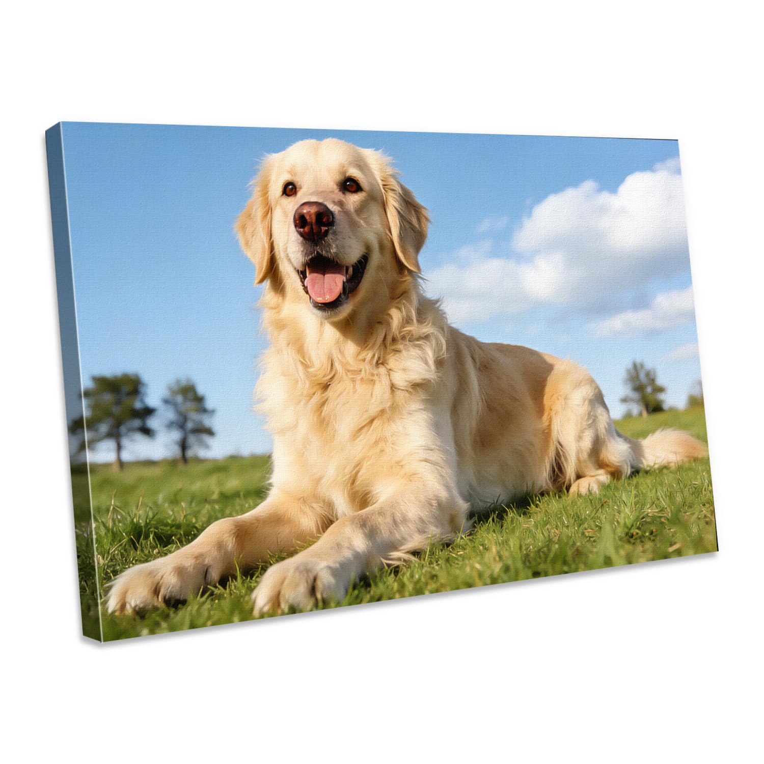 Personalised Canvas Photos No Frame,Photo Printing Custom Poster Valentine's Day Gift Pet Portrait,Canvas Personalised Photo Birthday Gifts,Graduation Gift,Party,Valentine's Day 60x120cm(24x47in)
