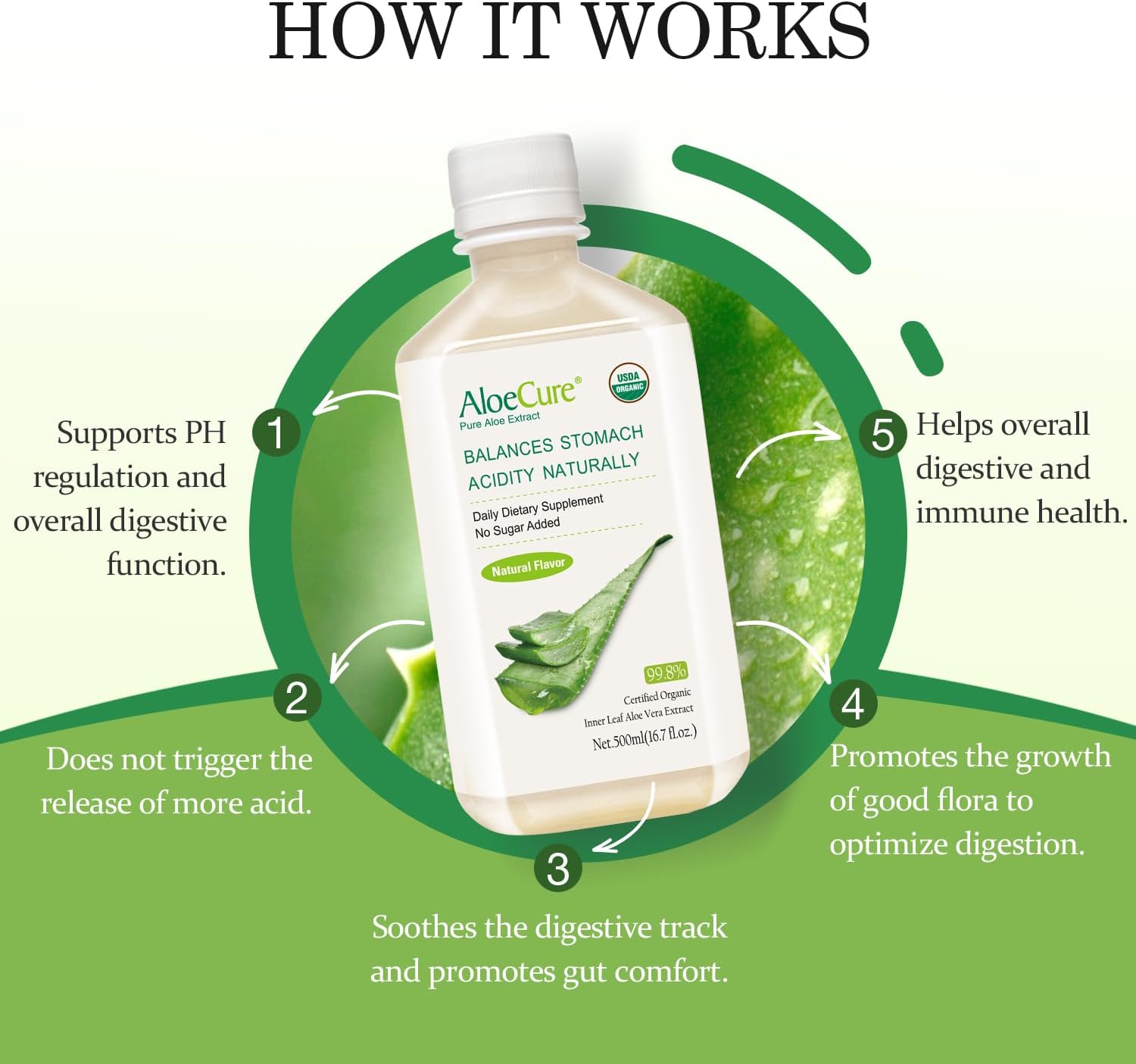 AloeCure USDA Organic Aloe Vera Juice Made Within 12 Hrs of Harvest - Pure Aloe Juice Natural Digestive Supplement to Support Digestion, Immune System and Balanced Stomach Acidity, 2 x 500ml Bottles