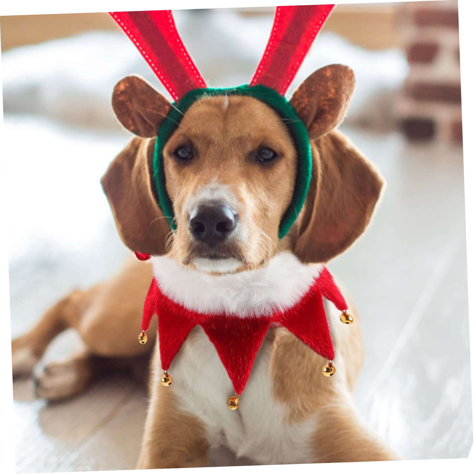 Collare Natalizio Con Campanelle Per Cani E Gatti – Regolabile, Morbido, Rosso E Bianco, Taglie XS-XL
