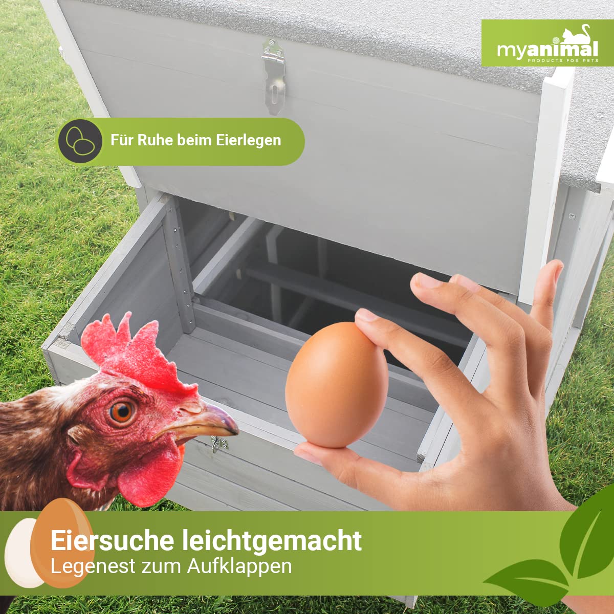 Miweba MyAnimal Hühnerstall MH-21 XXL | 174x66x98 cm - Für 3 Hühner - Nistkasten mit Freilaufgehege - Sitzstange - Winterfest - 2 Ebenen - Hühnerhaus mit Eiablage - Kiefernholz - Voliere (Grau)