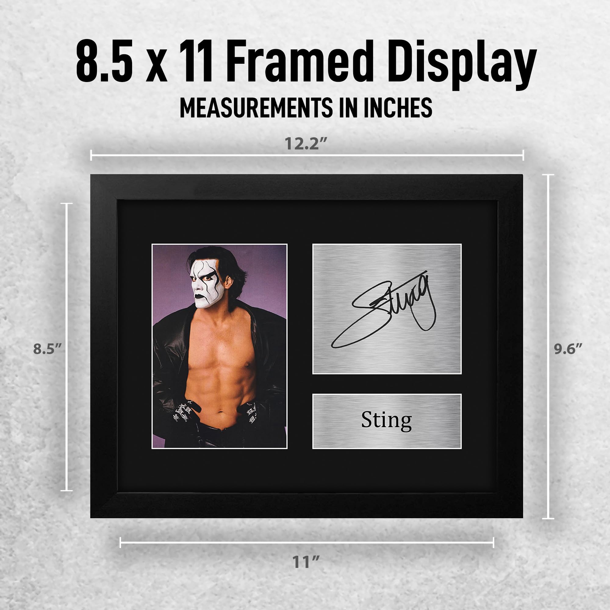 Amazon.com: HWC Trading Sting Framed Gift Signed Printed Autograph