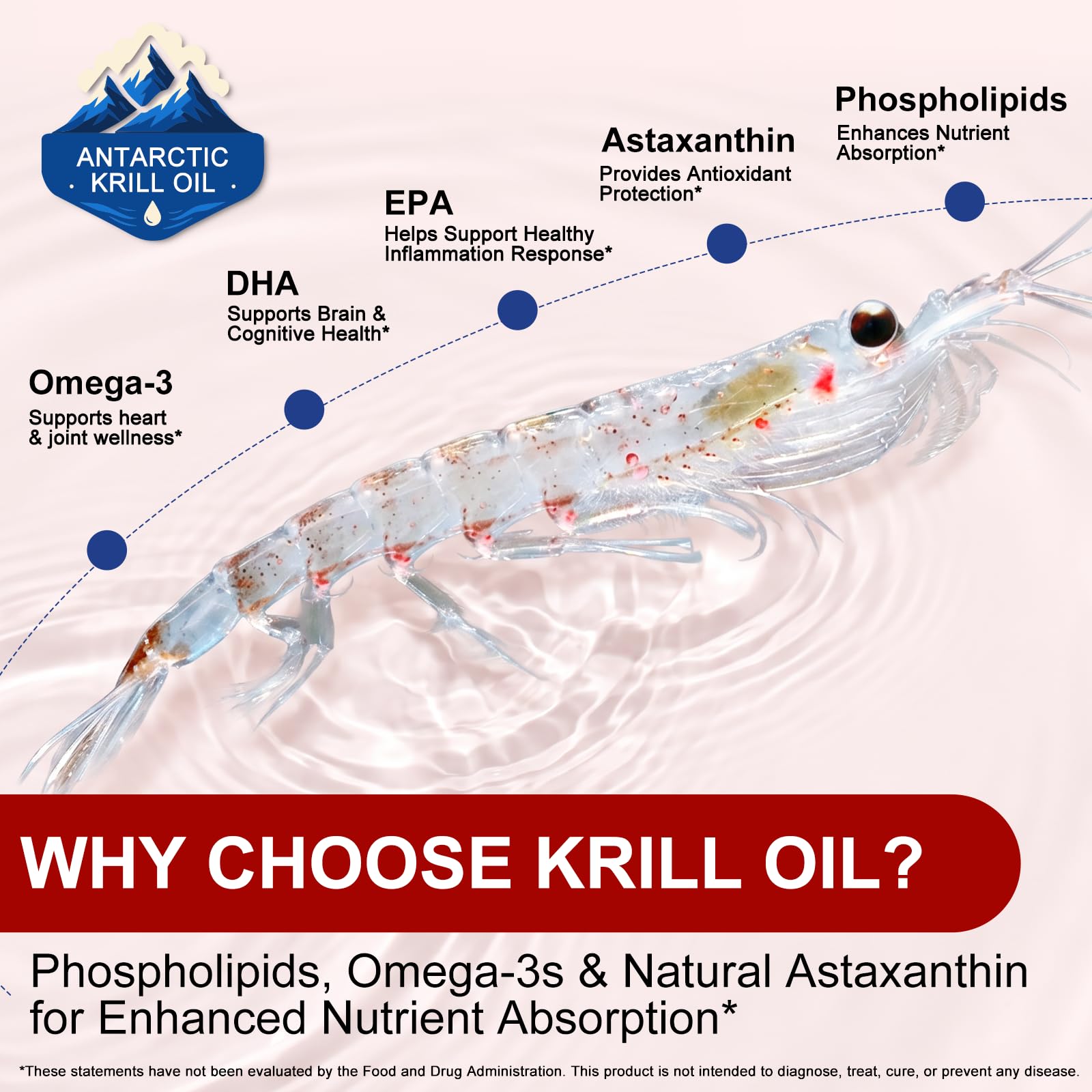 Antarctic Krill Oil 2000mg with Astaxanthin 800mcg | Omega-3 500mg | EPA 240mg | DHA 160mg | Phospholipids 400mg | 240 Softgels