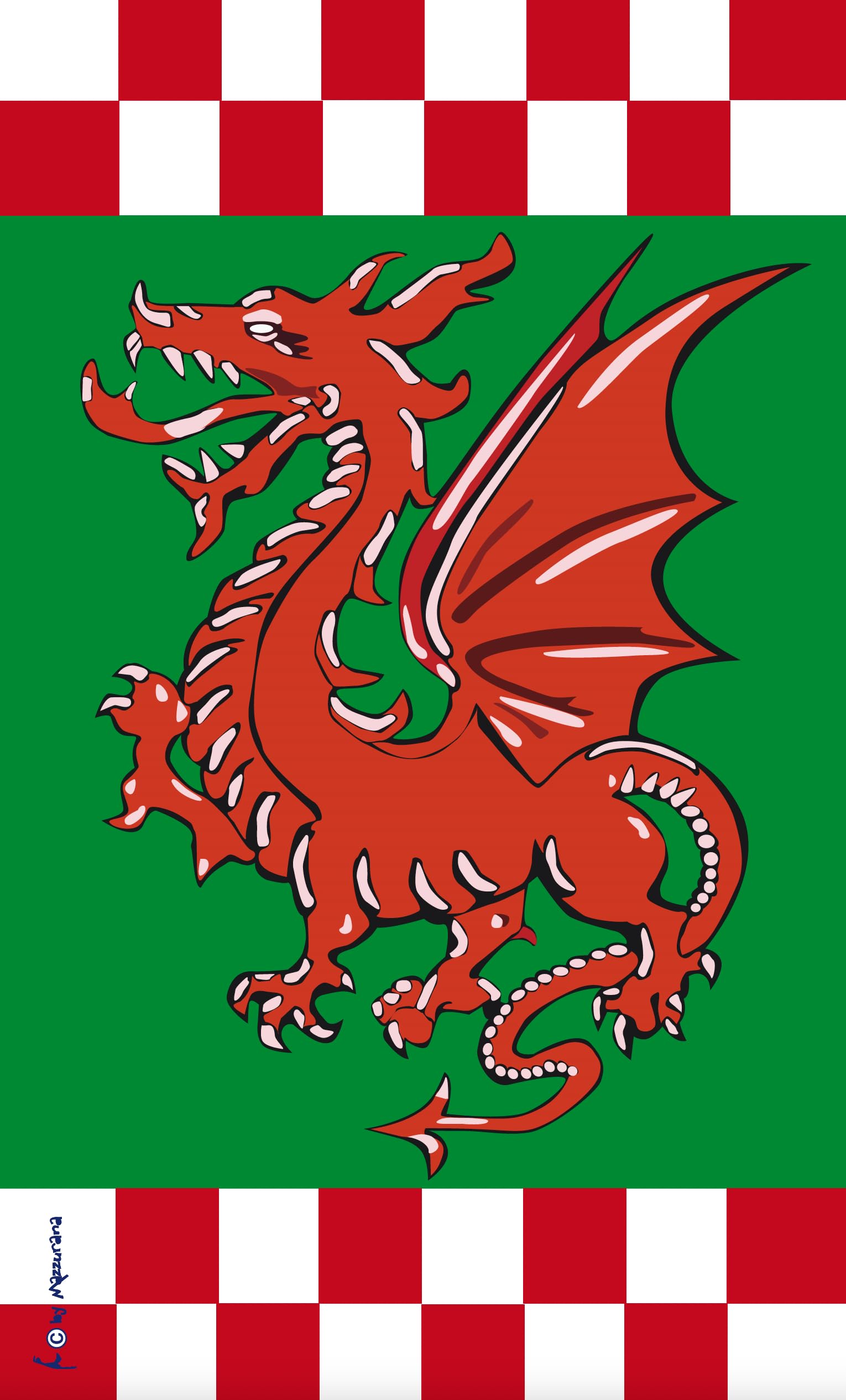 Drapeau chevalier dragon héraldique pour bateau et décoration de fort | 90x60 cm