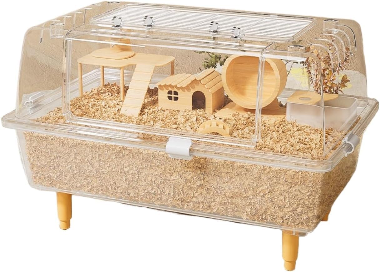 Amazon | 三晃商会 SANKO C602 ルーミィ60 グランスぺース クリアー