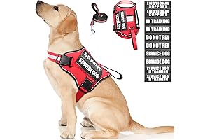 Do Not Pet Dog Vest: Protect Your Service Dog's Safety and Comfort