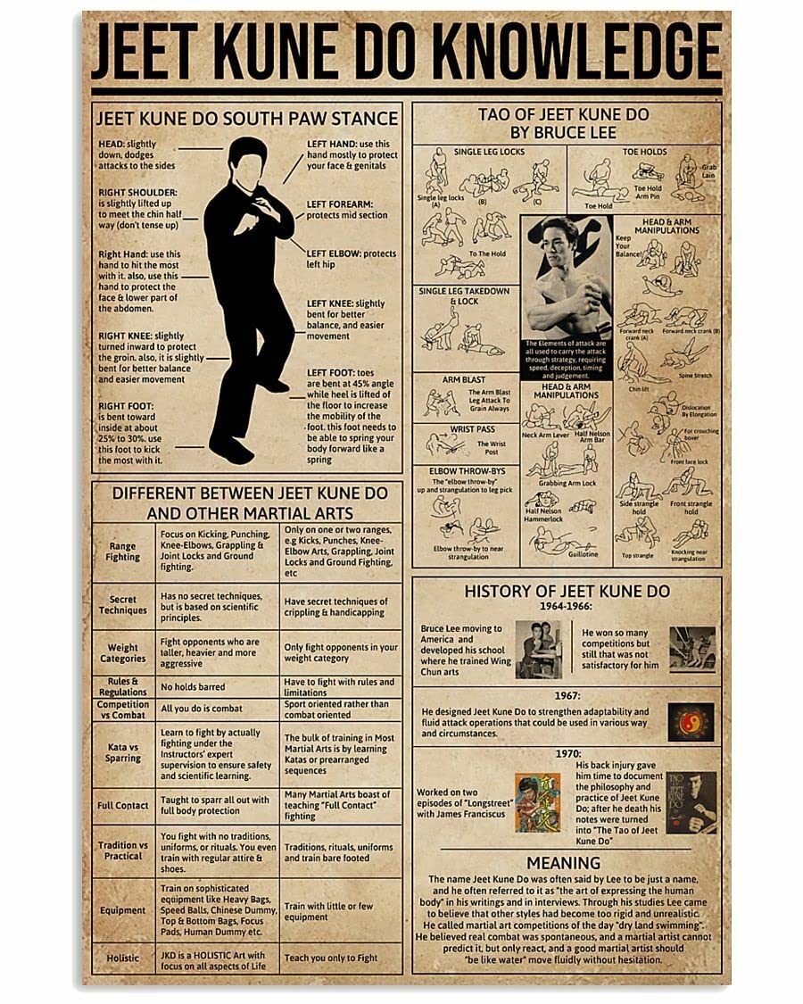 Ara Step Retro Knowledge Art Poster Prints 6 (Jeet Kune Do Knowledge Vertical Art Print Poster, Indoor Home Decoration Gift, 297 x 420 mm / 11.7 x 16.5 inches)