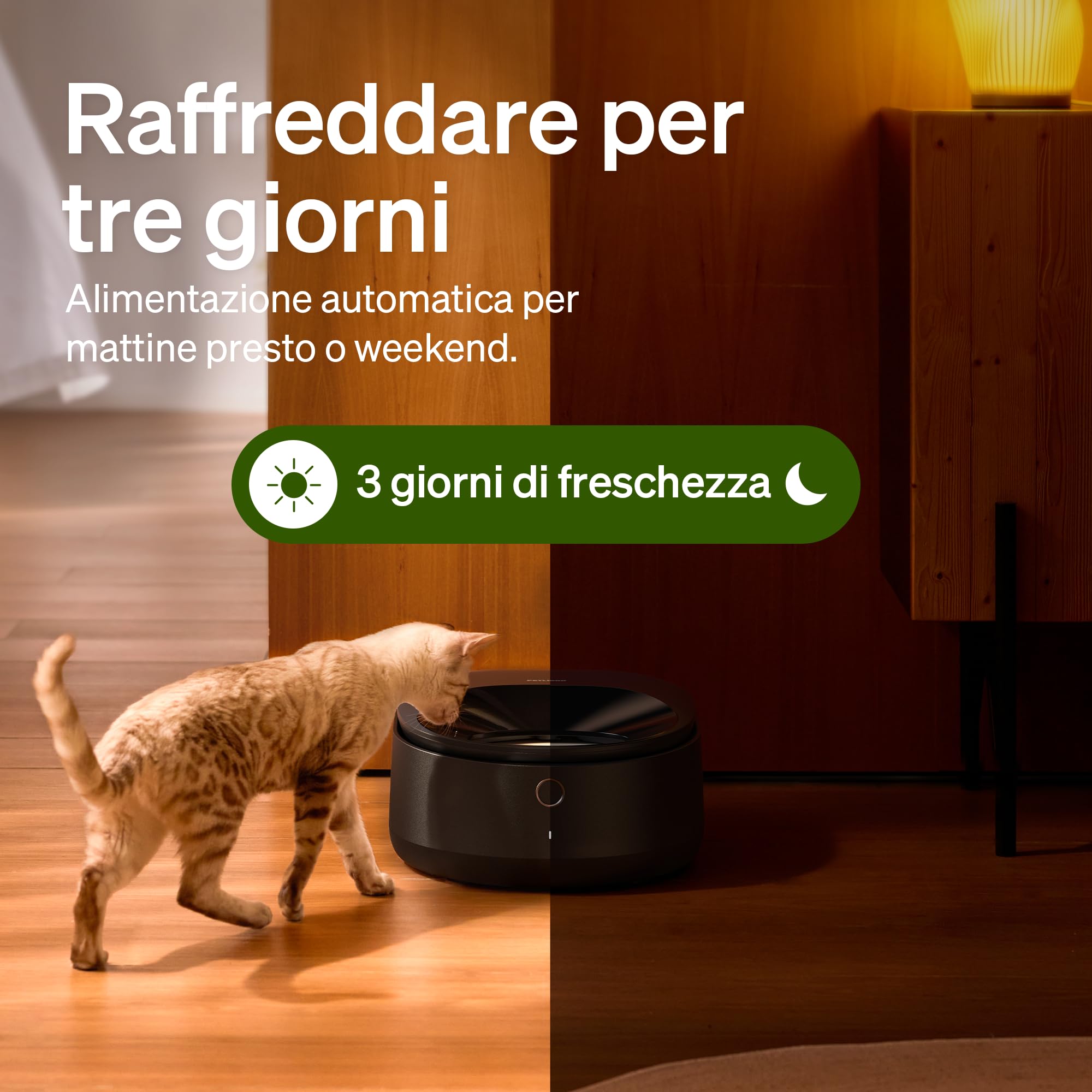 PETLIBRO Mangiatoia automatica per gatti con ciotola in acciaio inox lavabile in lavastoviglie, macchina per cibo umido con raffreddamento a semiconduttore, 2,4 GHz Wi-Fi Smart App, 3 giorni di vera