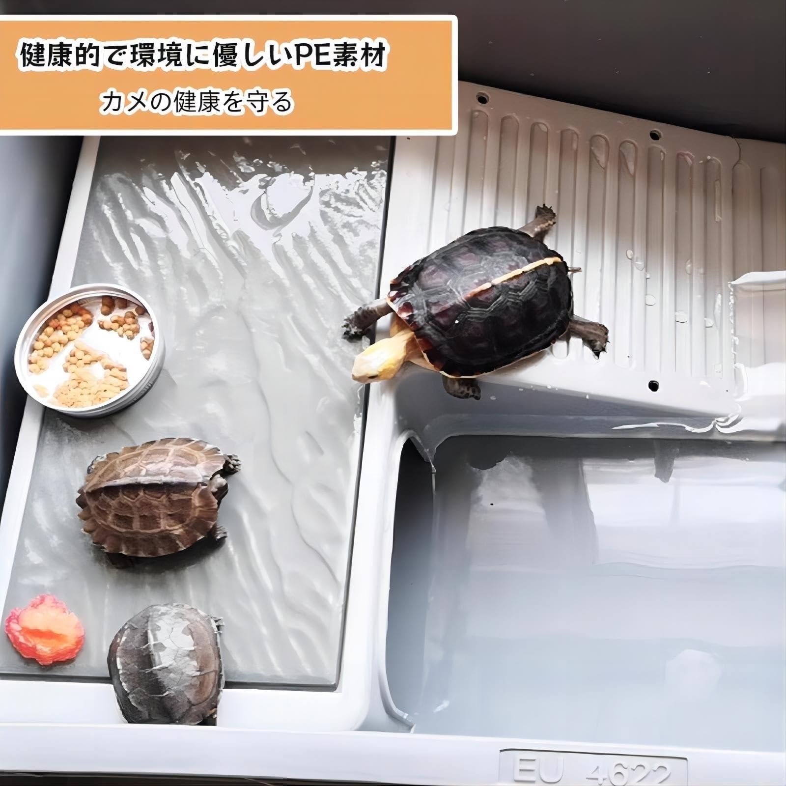 金属製彫刻容器 亀の蓋付き 659c1634df1a1c7407237072afa8a2
