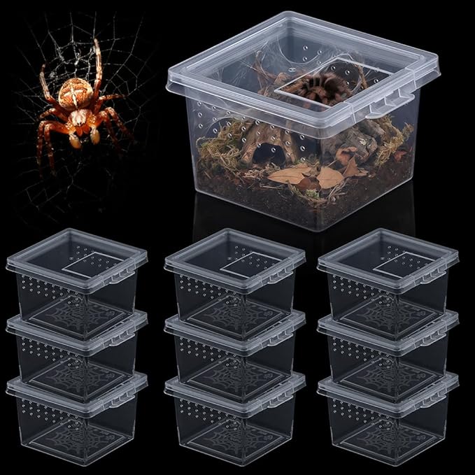 10 Pcs Insect Spider Terrariums Breeding Box Hatching Container Small