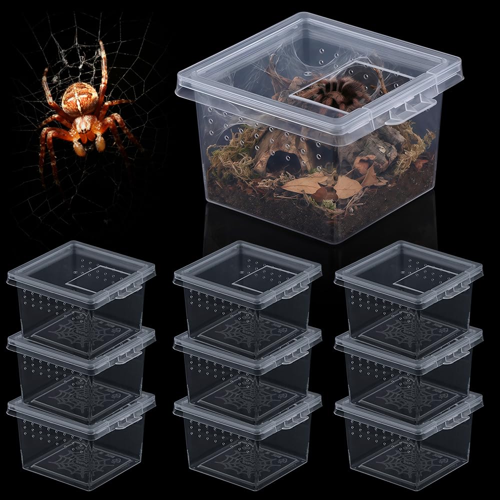 Photo 1 of 10 Pcs Insect Spider Terrariums Breeding Box Hatching Container Small Reptile Scorpion Centipede Acrylic Breeding Box (Small Size)