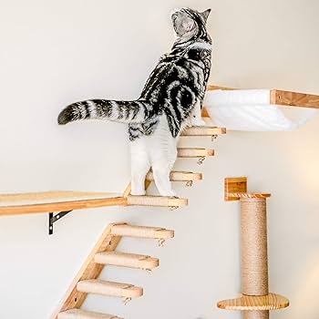 FUKUMARU 壁掛け式キャットステップ、ハンモック等4点セット Amazon.co.jp: FUKUMARU壁掛け式猫用ハンモック、ラバーウッド製