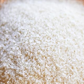 2026年産 丹後弥栄産コシヒカリ（玄米5kg）