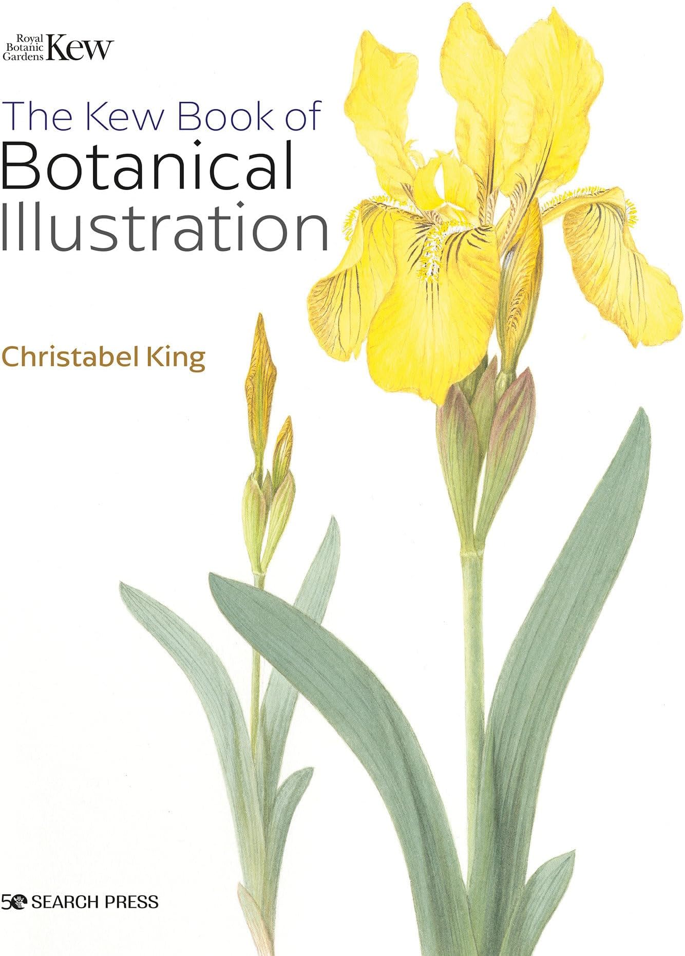 The Kew Book of Botanical Illustration (paperback edition) Paperback – 15 July 2022