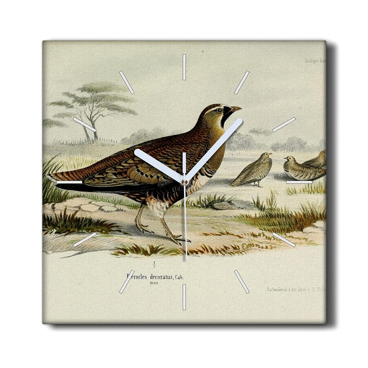 Horloge murale toile 30x30cm oiseaux décoration salon moderne tableau horloge sans tic-tac