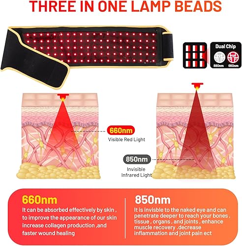 Miniatura 3 de Cinturón de terapia de luz roja DYUF terapia de luz infrarroja recuperación muscular, alivio del dolor y dispositivo de curación