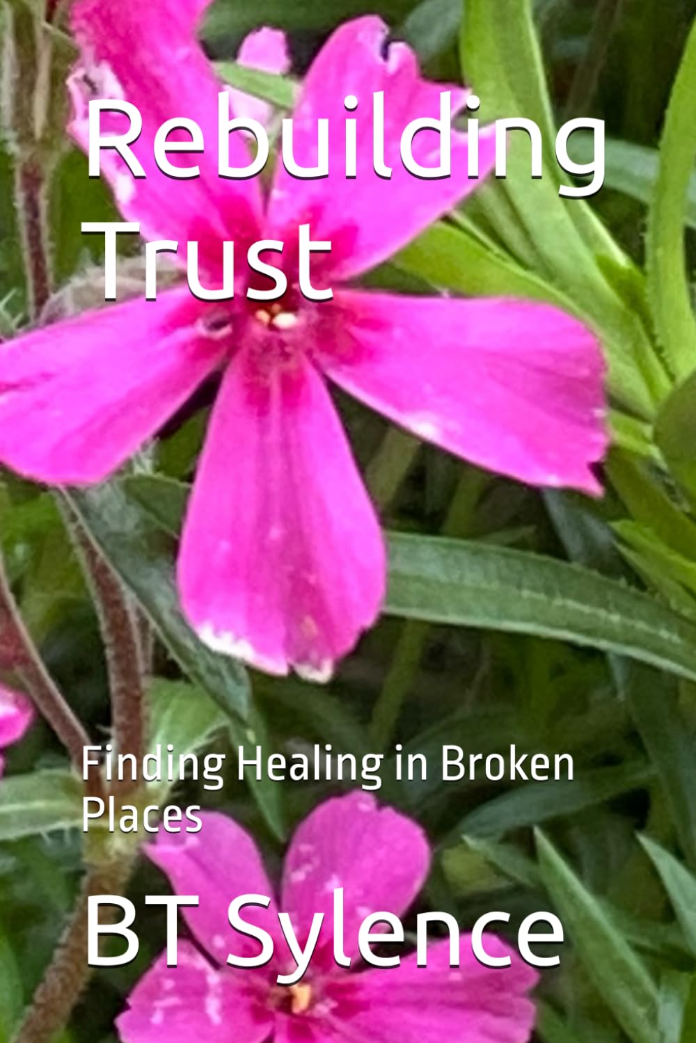 Rebuilding Trust: Finding Healing in Broken Places (From Survival to Surrender: Healing Trauma Through Truth, Grace, and Forgiveness)
