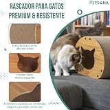 Ver la foto 5