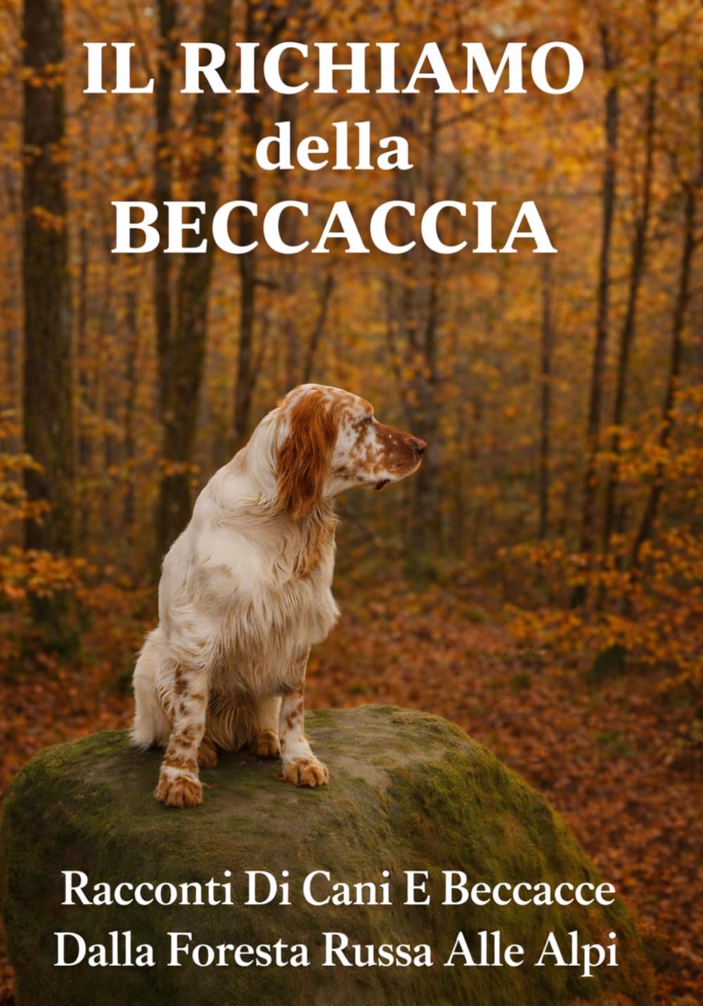 IL RICHIAMO DELLA BECCACCIA: Racconti Di Cani E Beccacce Dalla Foresta Russa Alle Alpi (La caccia vera)