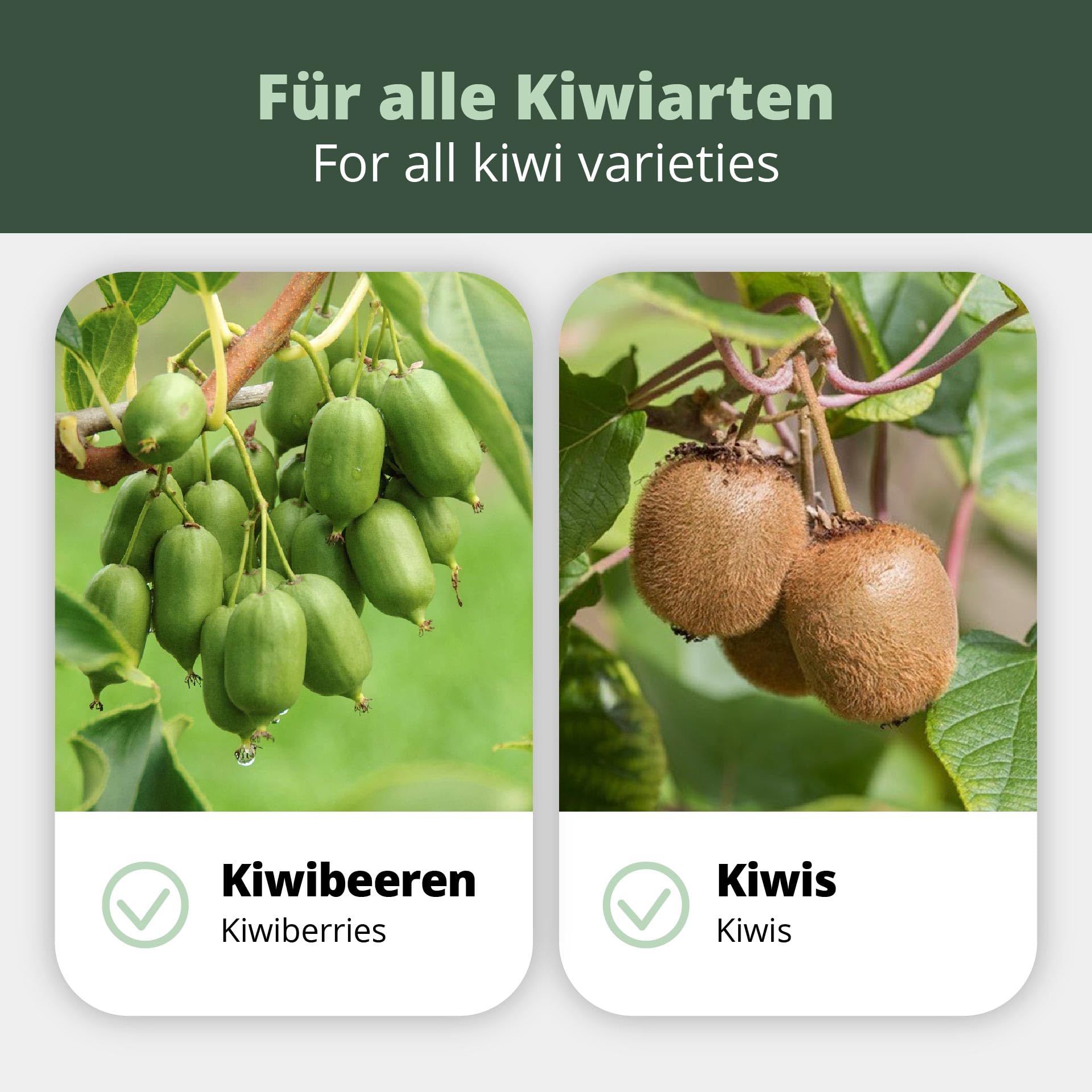 Engrais Spécial pour Kiwis et Baies - 1 L - Pour Plantes Actinidia (Arguta, Kolomikta, Deliciosa, Chinensis, Polygama) - Recette du Cultivateur