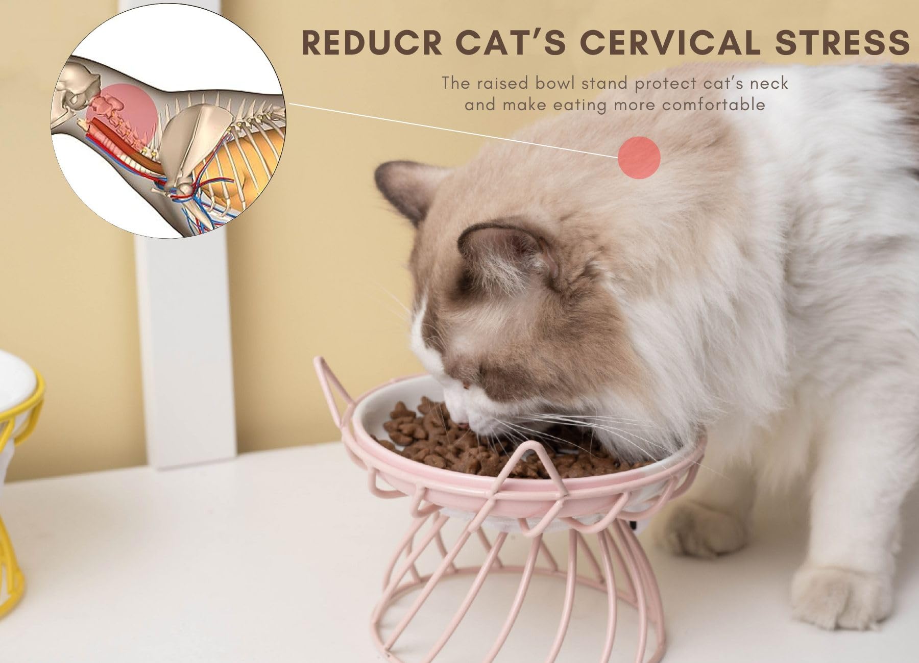 2 platos poco profundos de comida para gatos con alfombrilla antideslizante, cuenco elevado de comida para gatos con soporte de metal elevado, protege la columna vertebral del gato, cuenco