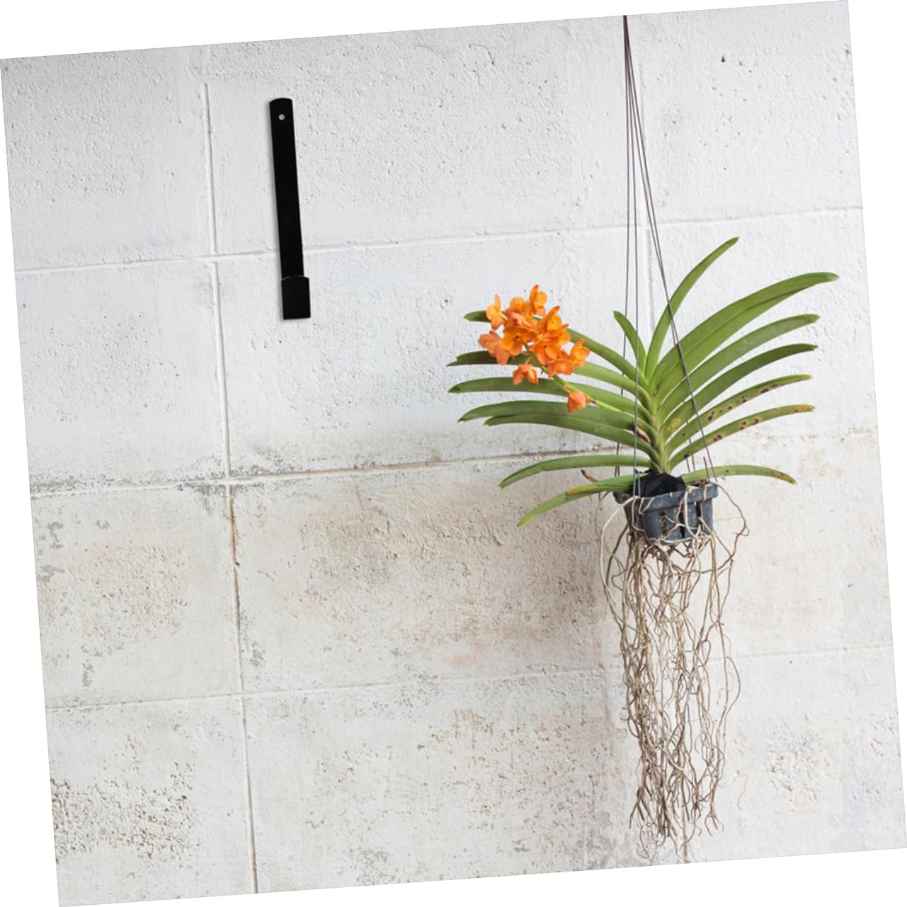 Crochet De Pont Pour Balustrade - Support Mangeoire Oiseaux Ou Jardinière, Fer Robuste, Longueur 71 Cm | HEEPDD