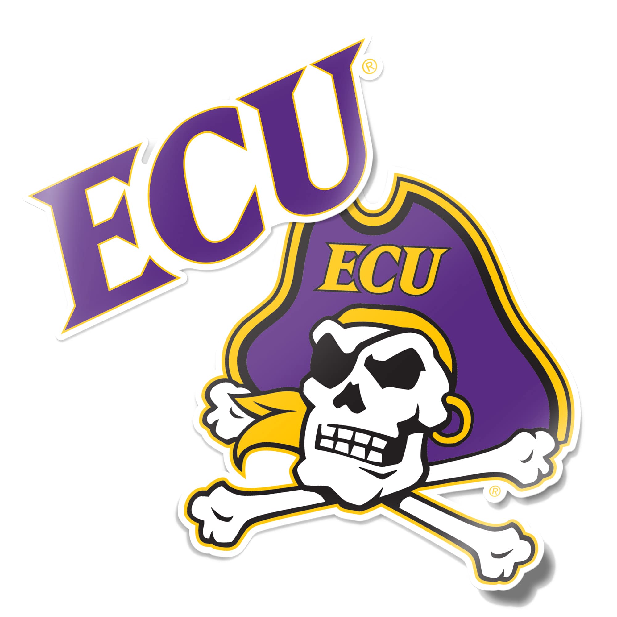 Desert Cactus East Carolina University Sticker Pirates ECU Vinyl Decal Laptop Water Bottle Car Scrapbook (4 Inch Set V1)