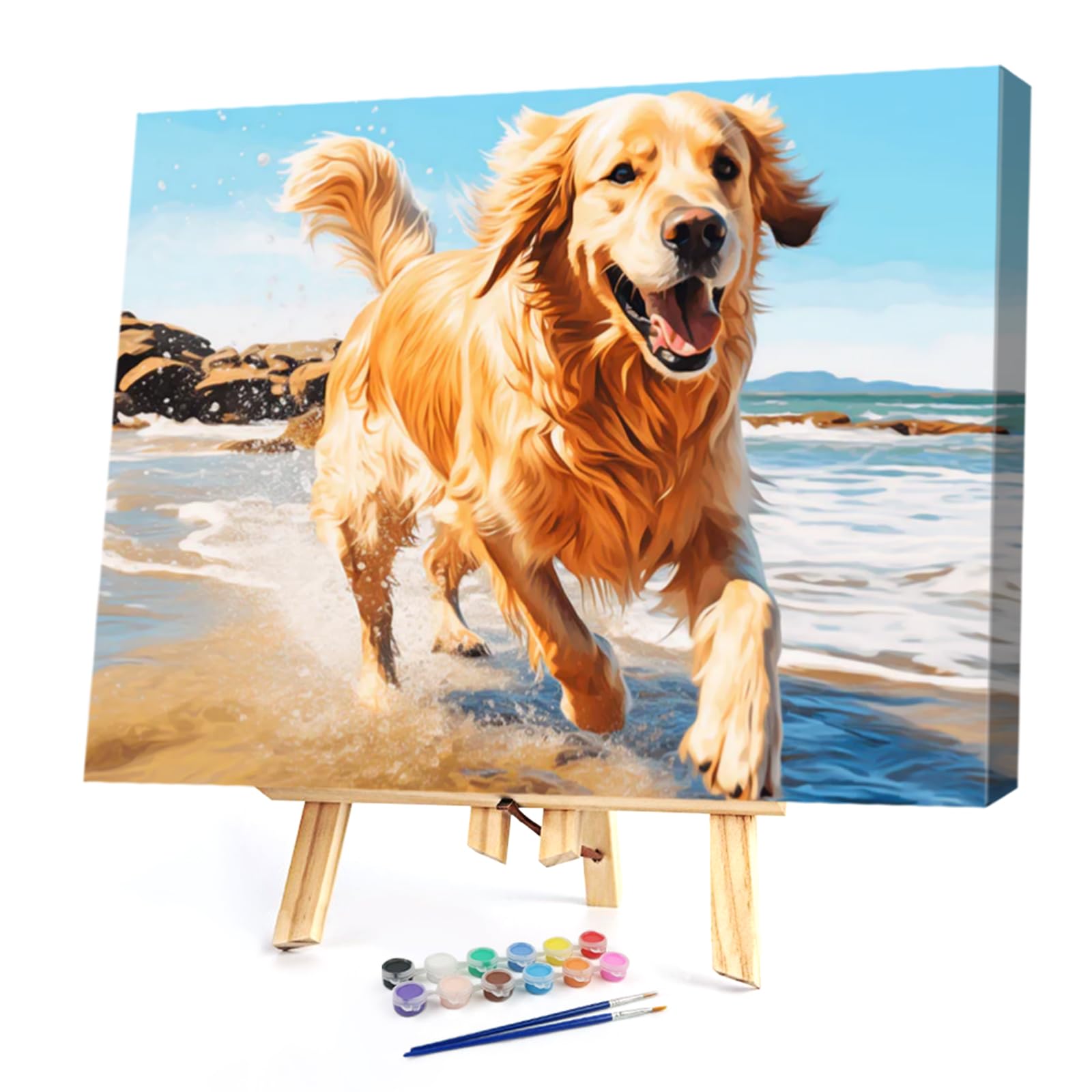 POETRYDRAW Beach Golden DIY Paint By Numbers Kit on Canvas 40x30cm with Frame Oil Easy Painting by Numbers for Beginners Adults Gift Home Wall Decor (Beach Golden)
