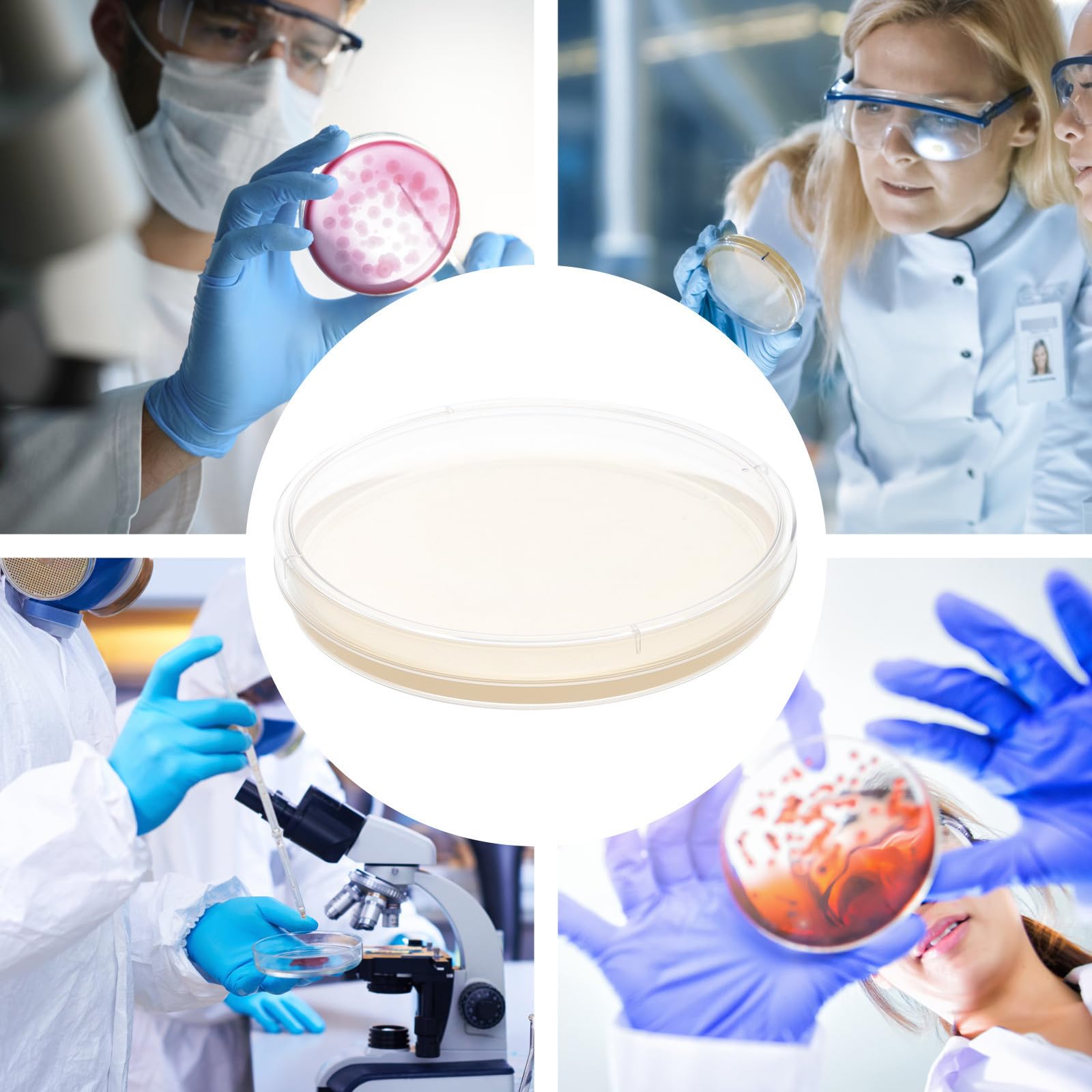 20 Stück Sterile Vorgegossene Agarplatten 9cm