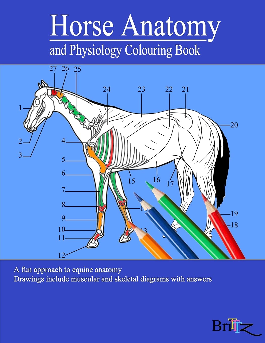 Horse Anatomy and Physiology Colouring Book: A Detailed Guide to Equine Anatomy with Answers | Perfect Gift for Veterinary Students, Animal lovers, Adults, and Teens
