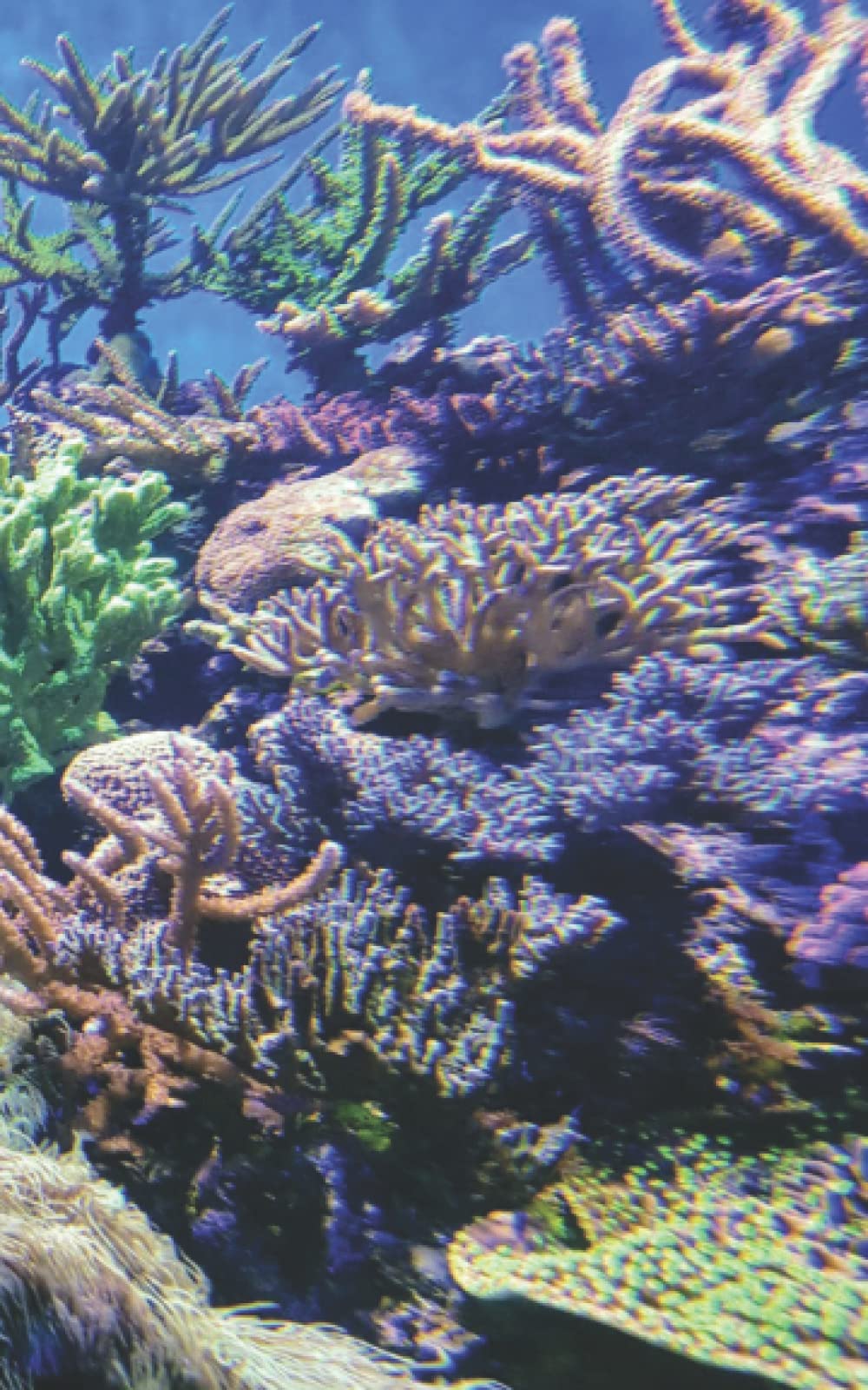 Coral Reef: Notebook Paperback – 20 Mar. 2022