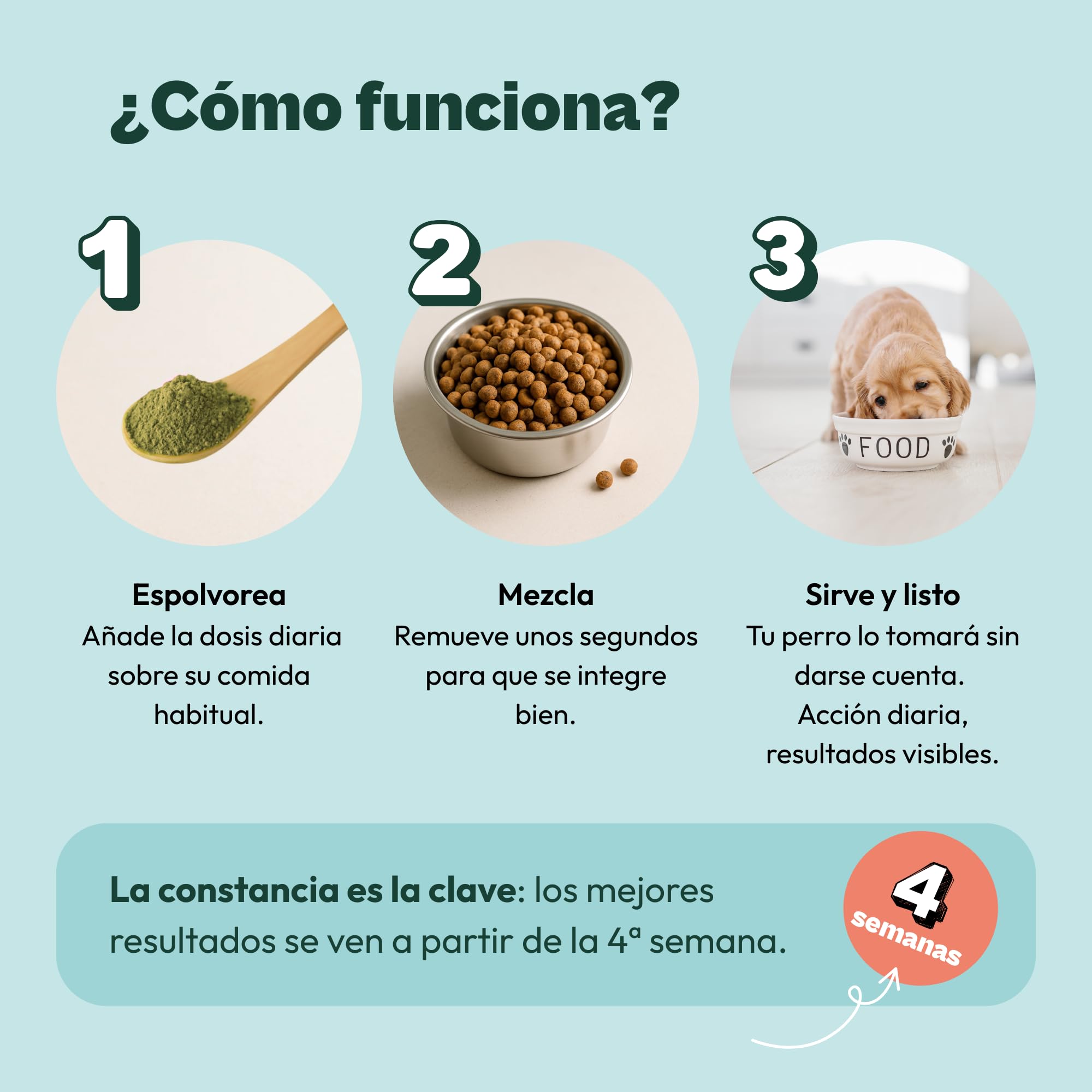 Gooddy - Cuidado Encías y Limpieza Dientes para Perros. Polvos Naturales 180g, Sin Cereales e Hipoalergénico – Elimina sarro, Placa y Mal Aliento. Alga Marina Natural Kelp, Zinc, Menta. 6 Meses Uso