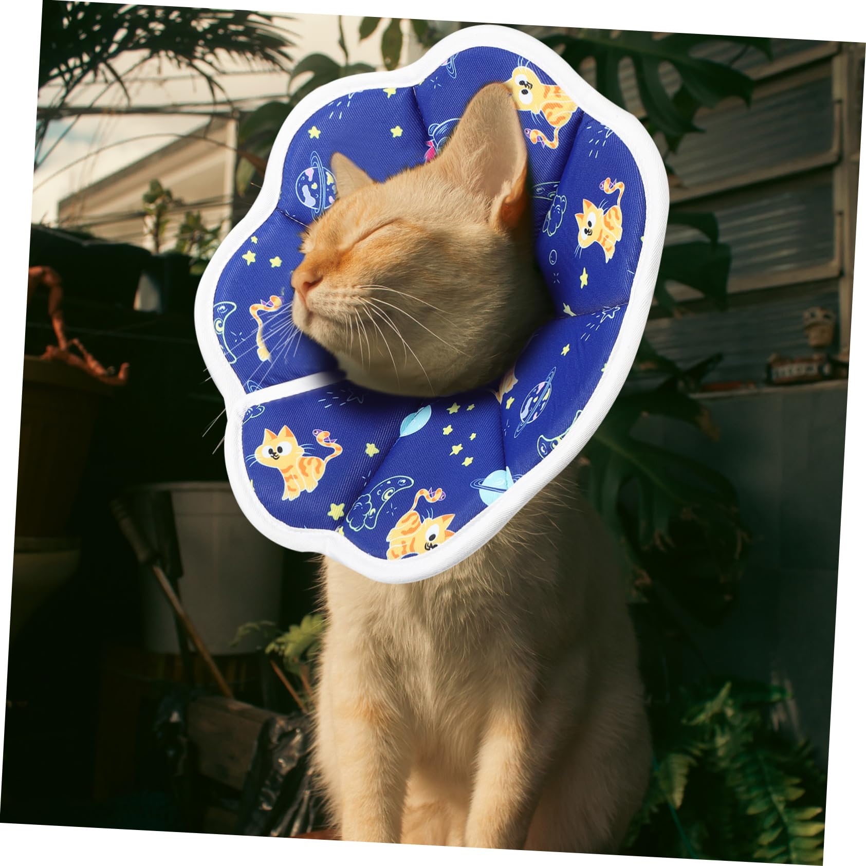 INOOMP 5stücke Kitten Cone Alternative Faltbarer Wasserdichter Cat Collar Für Katzen Und Kätzchen Schützt Vor Lecken Und Wunden Nach Operationen Und Verletzungen