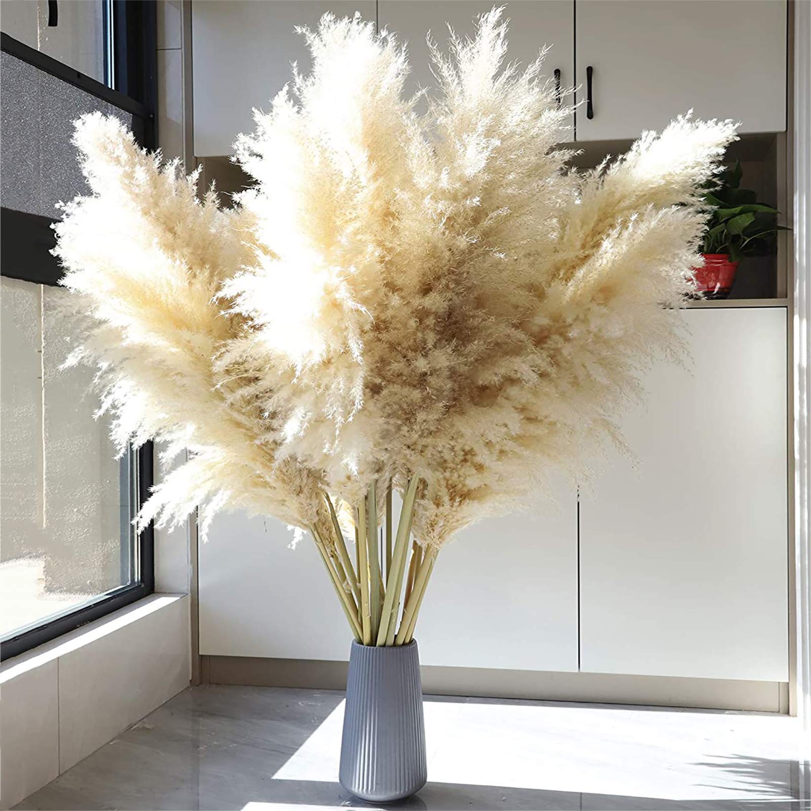 Fluffy　パンパスグラス Amazon｜ふわふわホワイト10ps天然パンパス草の装飾、48インチ