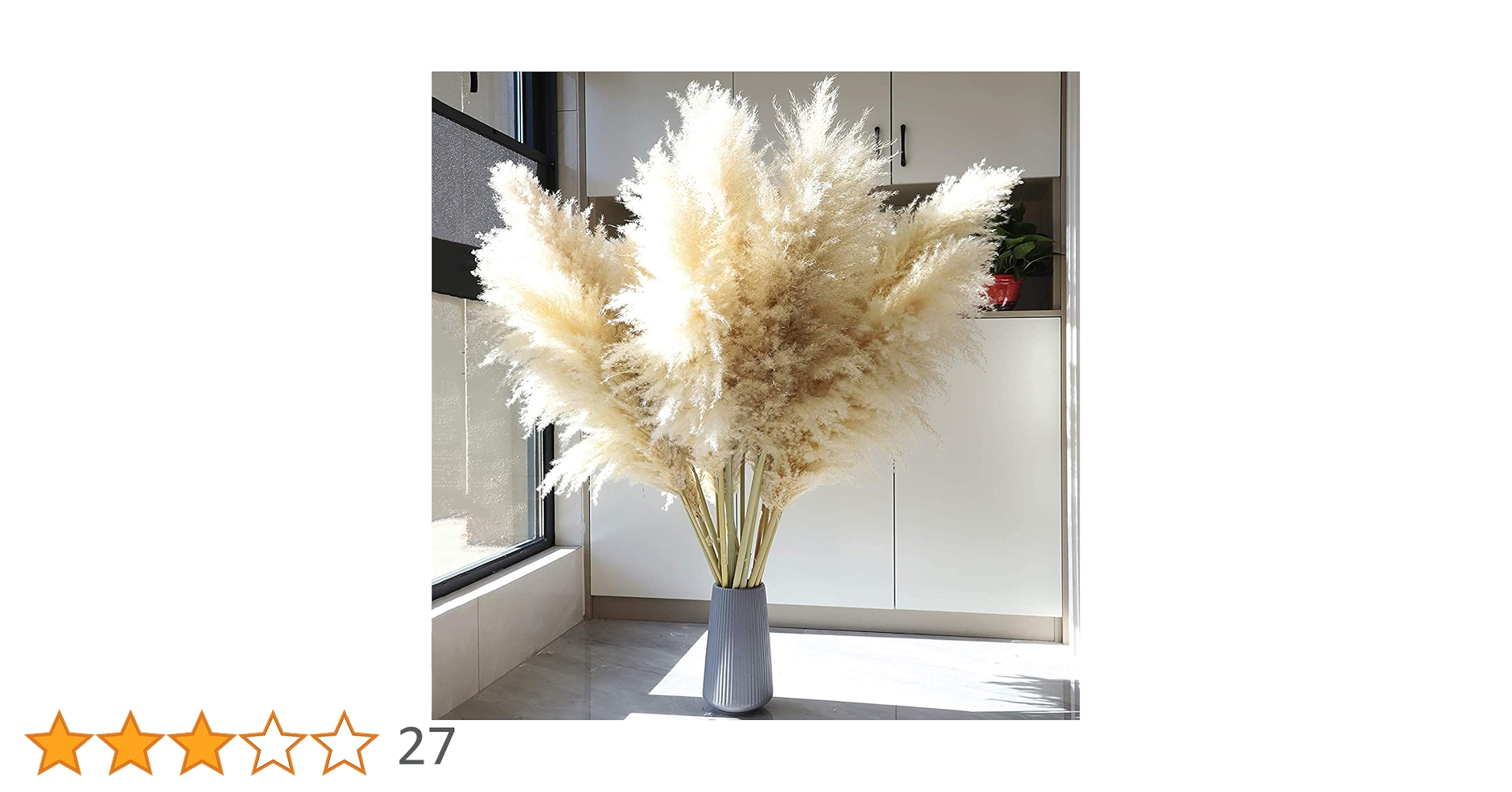 Fluffy　パンパスグラス 71kxtp6HNlL.jpg_BO30,255,255,