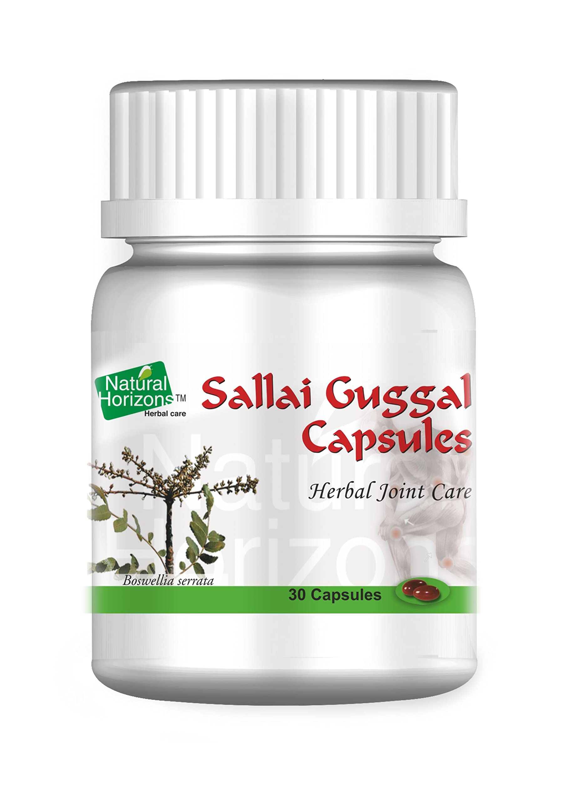 Natural Horizons Shallaki Capsule (Pack of 1) (B0C3V7L4BR) Amazon Price History, Amazon Price Tracker