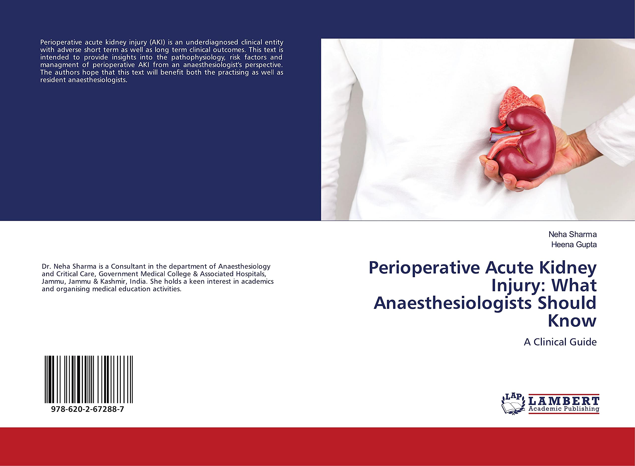 Perioperative Acute Kidney Injury: What Anaesthesiologists Should Know: A Clinical Guide