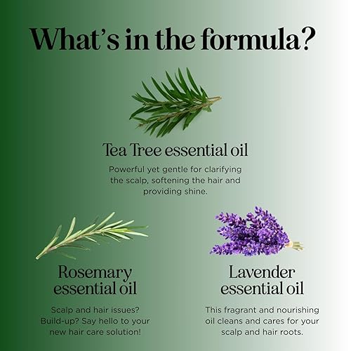 Miniatura 6 de Juego de champú y acondicionador de árbol de té, champú y acondicionador clarificante sin sulfato para el cuidado del cabello graso y el cuero