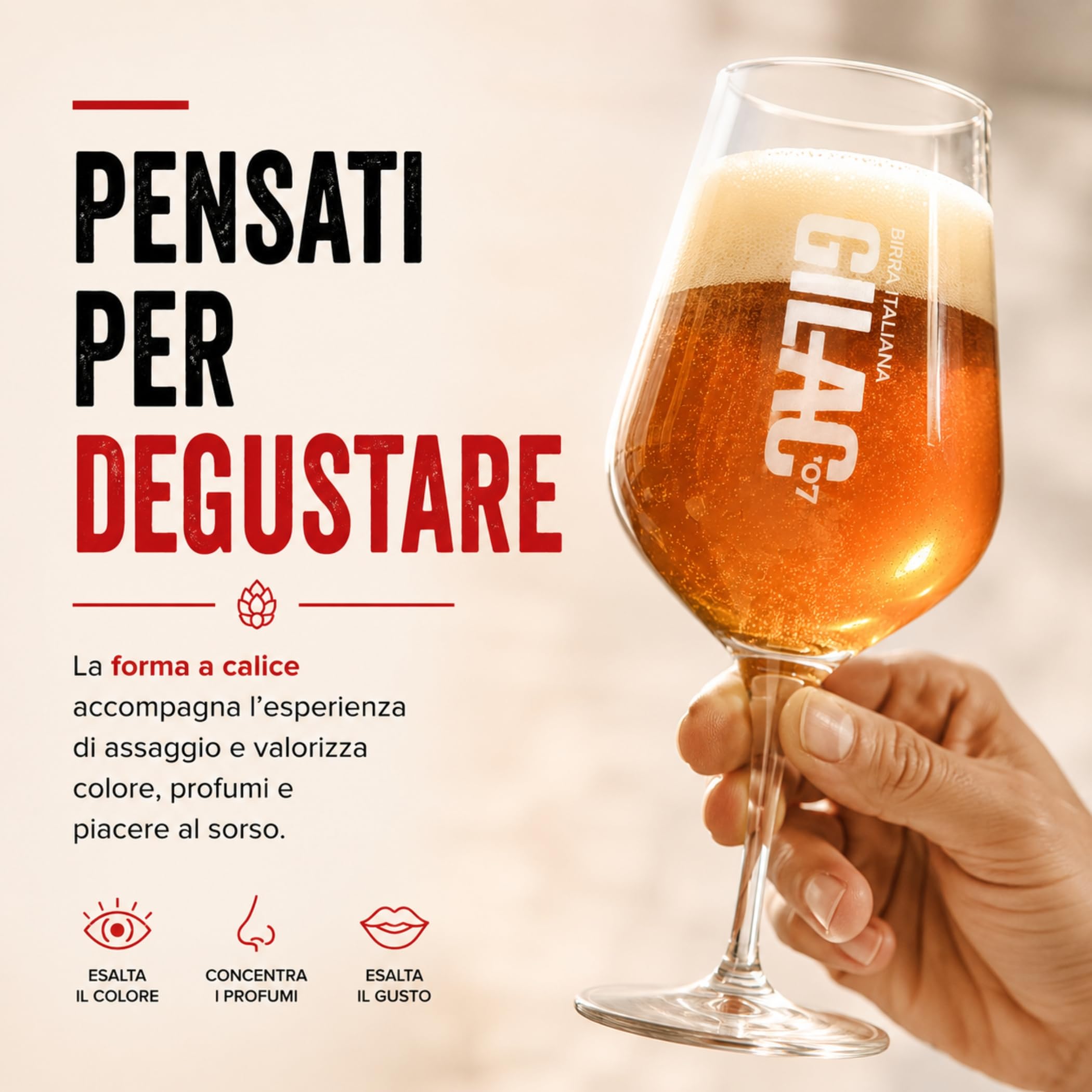 Gilac bicchieri birra in vetro, set 6 beer glass serigrafati, bicchieri da birra artigianale per degustazione, aperitivi, cene o bicchiere birra regalo.