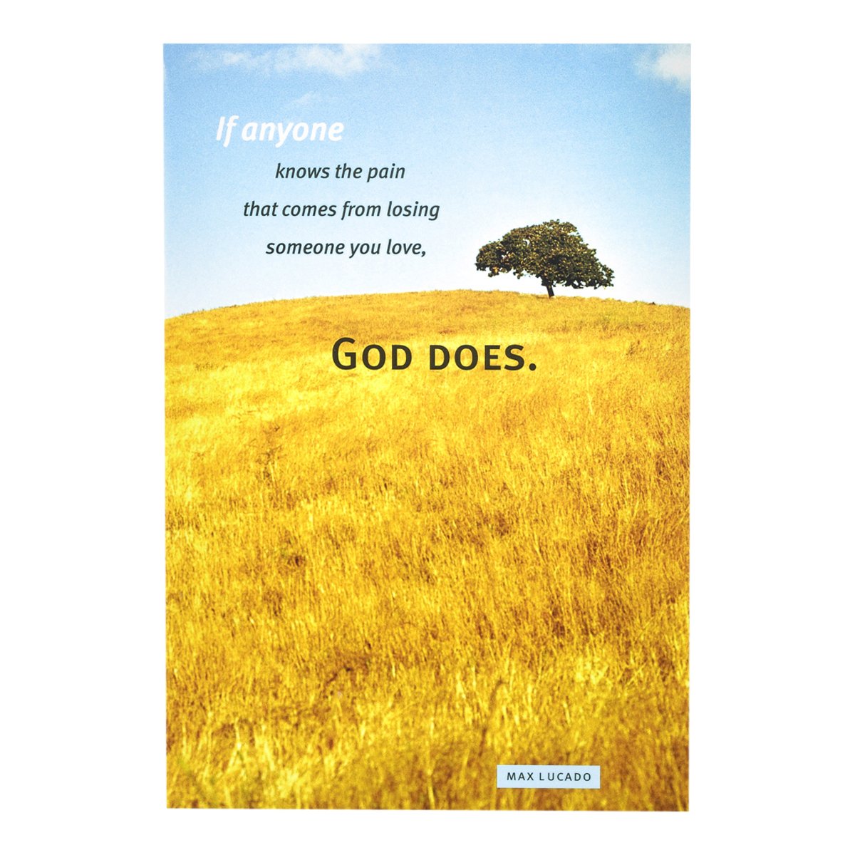 DaySpringSympathy Inspirational Boxed Cards - Max Lucado - Fields