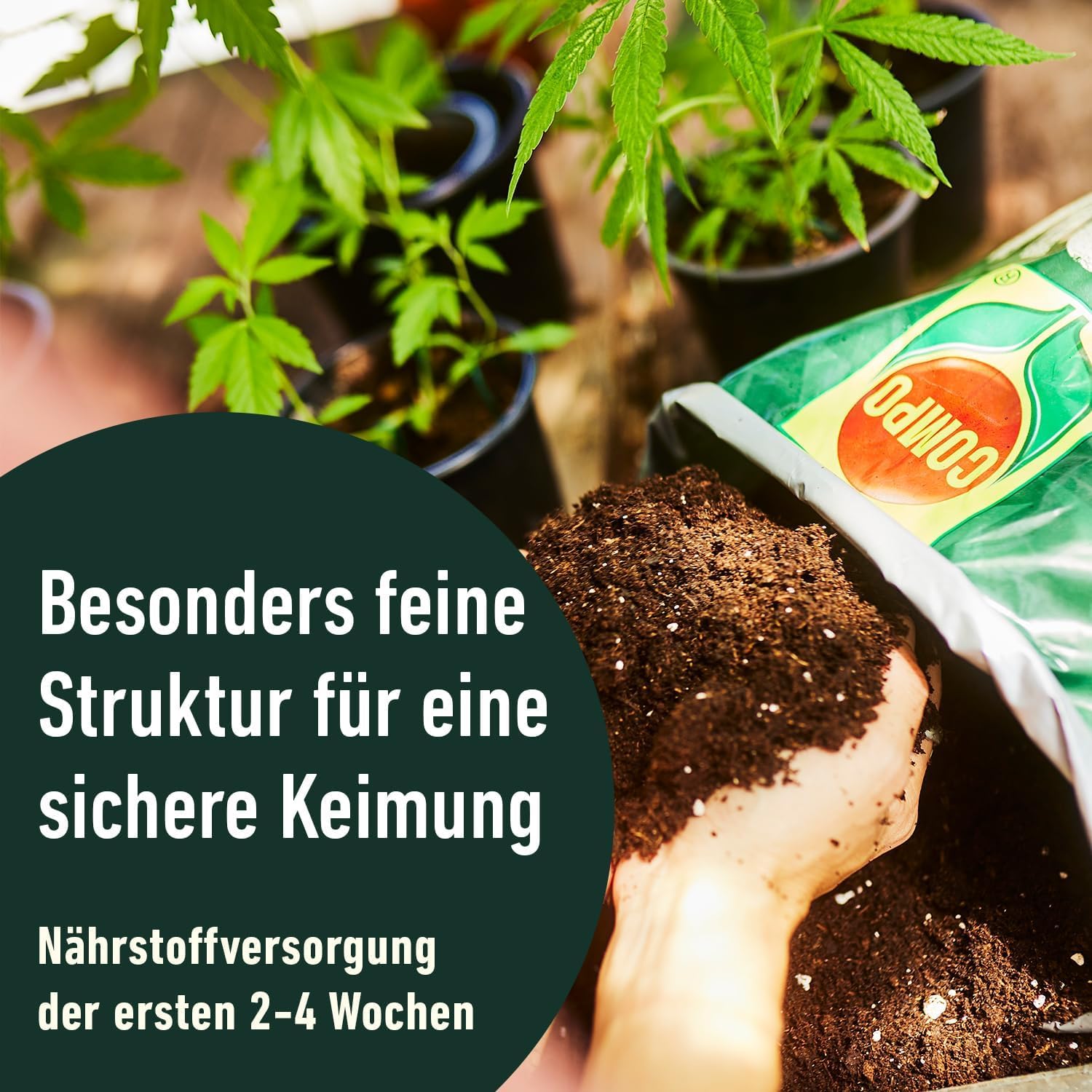 Compo Grow Organic Light-Mix Erde - Aussaaterde mit lockerer, luftiger Struktur für den Anbau von Spezialkulturen im Indoor- & Outdoor-Bereich 50 L