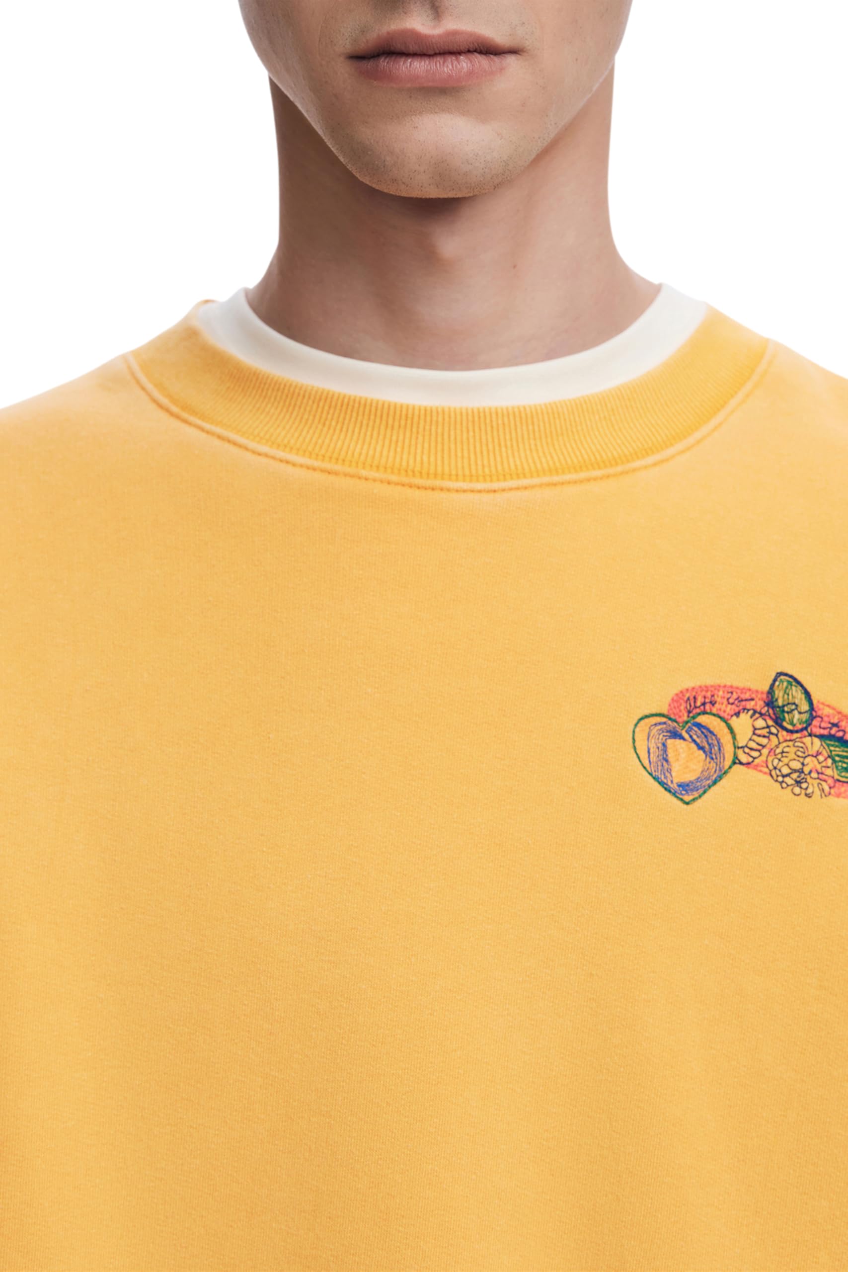 Desigual Bluza Mężczyźni Sweat_buda