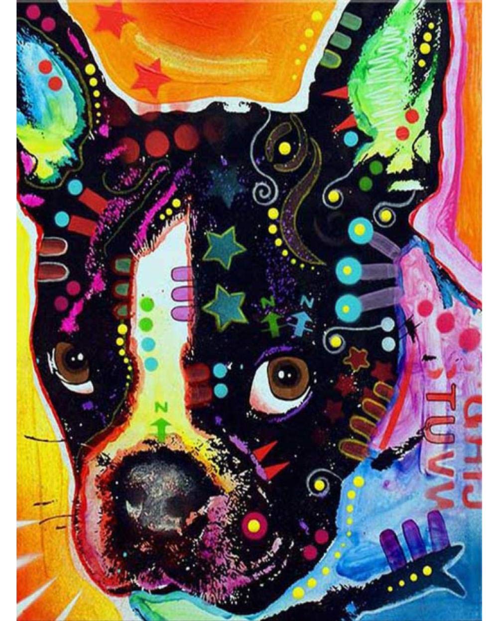 Peinture par numéros chien pour adulte avec toile et pinceaux inclus