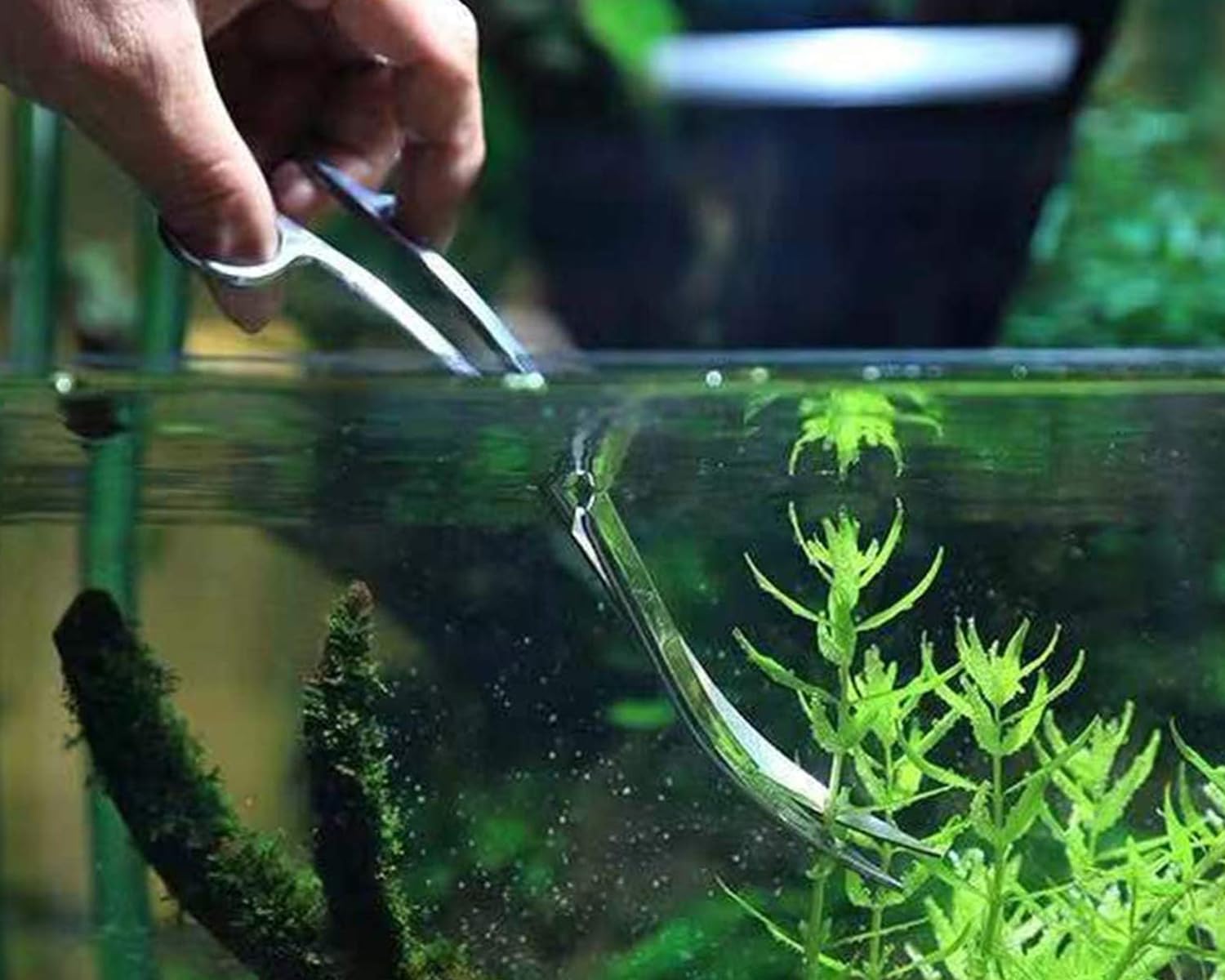 Forbici curve in acciaio inox per acquario, 25 cm, forbici per piante acquatiche, strumento per acquari