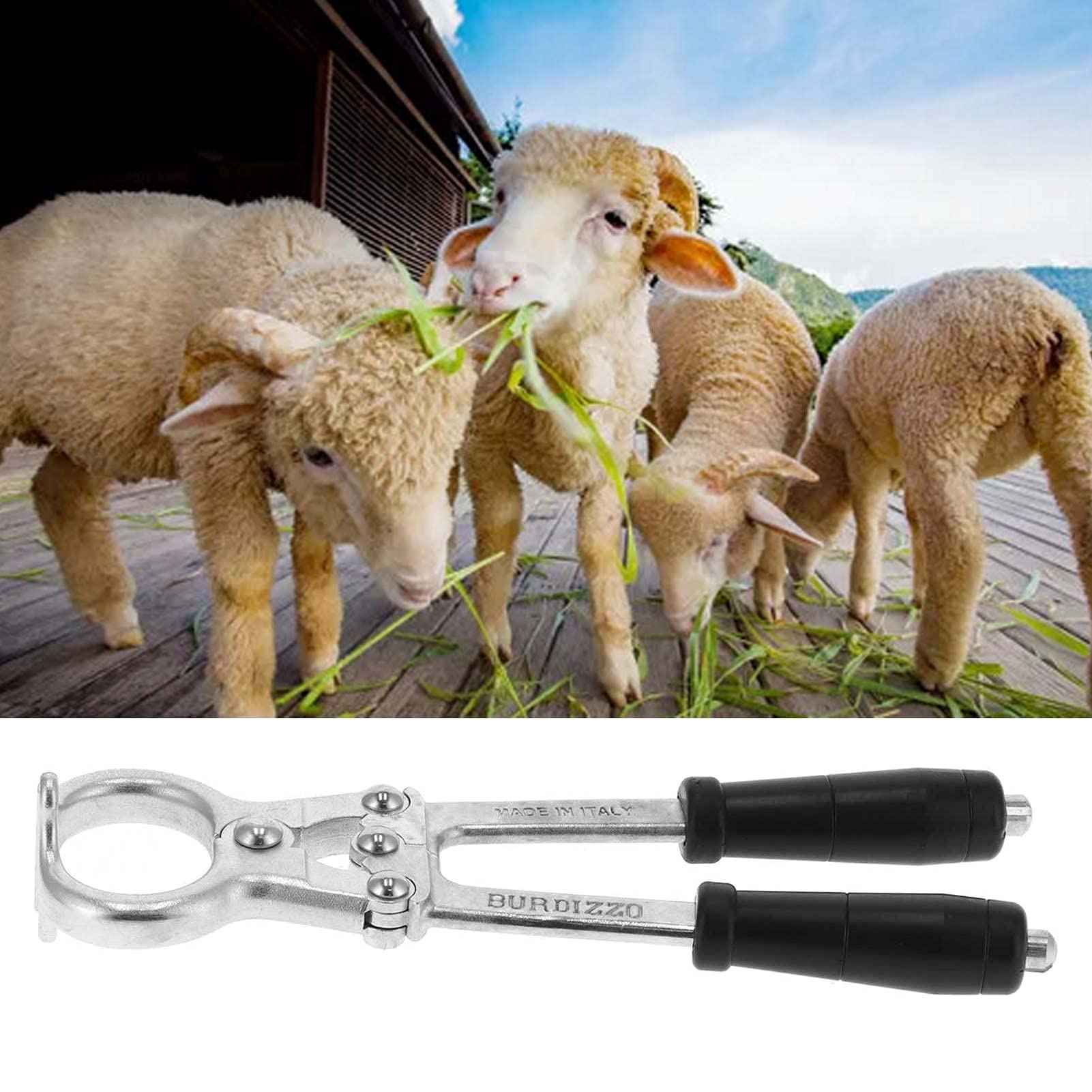 Sheep Tail Resection Removal Castration Pliers Farm Animal Bloodless