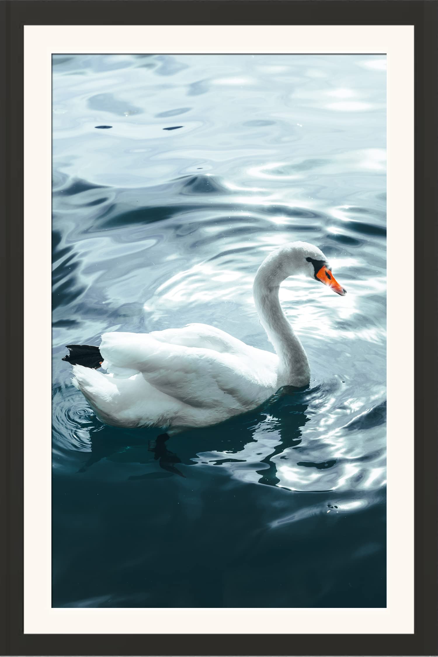 STUDIO AVINASH Water Bird Wall Hanging Framed Photo Without Glass For Home Decor, Office, Living Drawing and Bed Rooms (13 X 18 Inch)